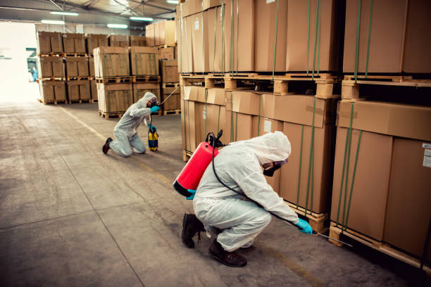 Best Bed Bug Extermination  in Inman, SC