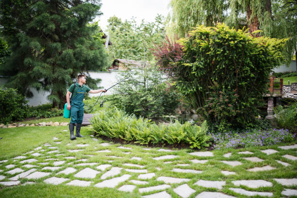Best Best Pest Control Companies  in Inman, SC