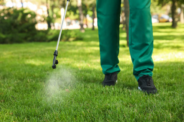 Best Pest Prevention Services  in Inman, SC