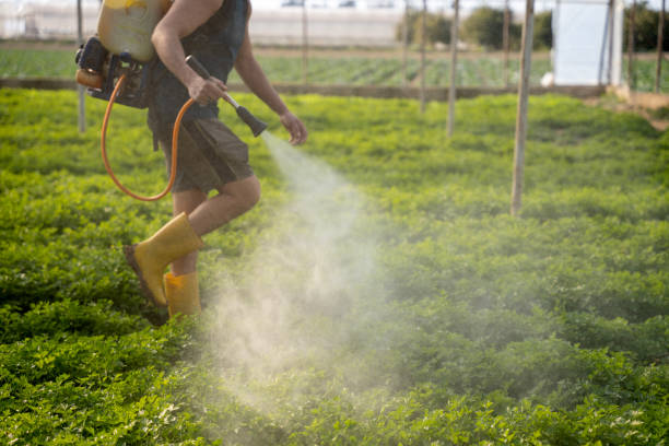 Best Affordable Pest Control Services  in Inman, SC