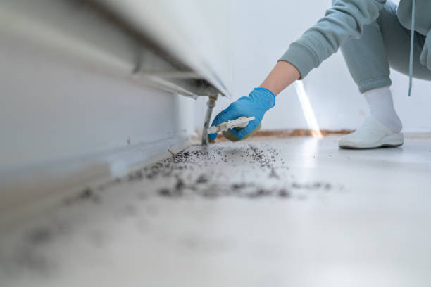 Best Mosquito Control Services  in Inman, SC